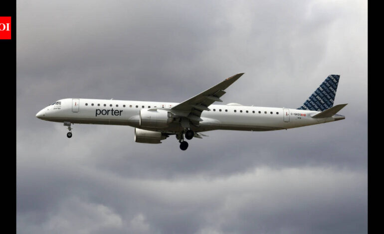 Flight to Toronto canceled as child refuses seatbelt, stands on seat; passengers stranded for 24 hours: ‘Parents should be fined’