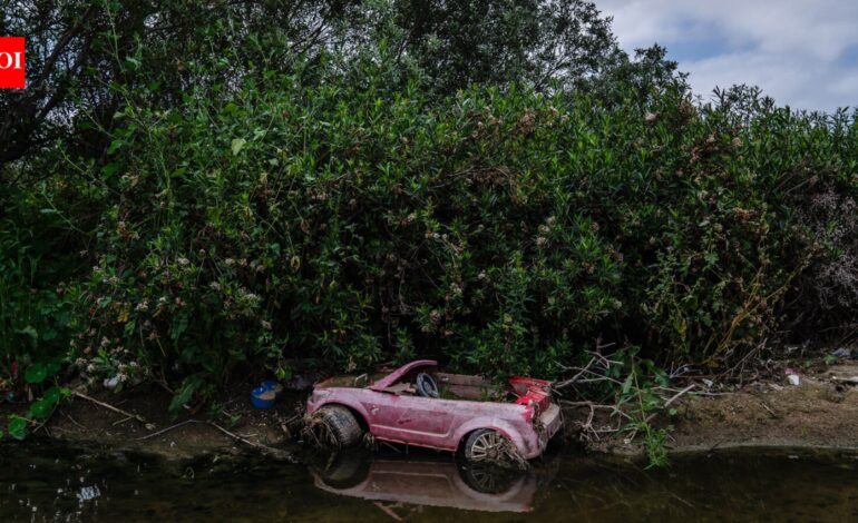 Wildlife Sanctuary: In 1986, a California city began polishing sewage through constructed marshes; the 307-acre system is now a wildlife sanctuary that has hosted over 300 bird species