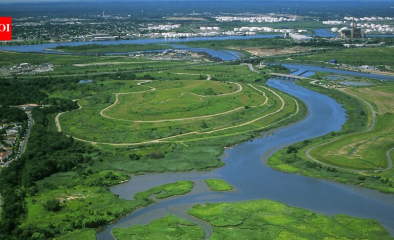 In the 1990s, New York chose wetlands over conventional storm sewers on Staten Island; the Bluebelt strategy saved taxpayers $80 million in infrastructure costs