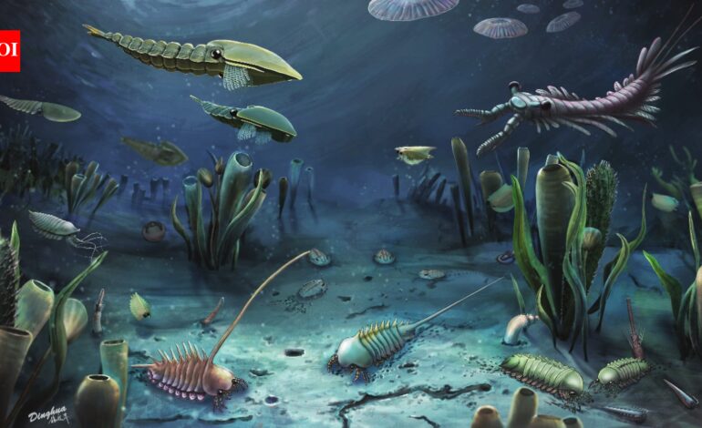 Scientists discovered that animal poop travelled across oceans 540-million-years ago and triggered the evolution of life on earth |