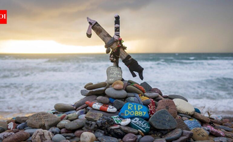 Harry Potter fans get £430m power link between UK, Ireland rerouted to save Dobby’s ‘grave’