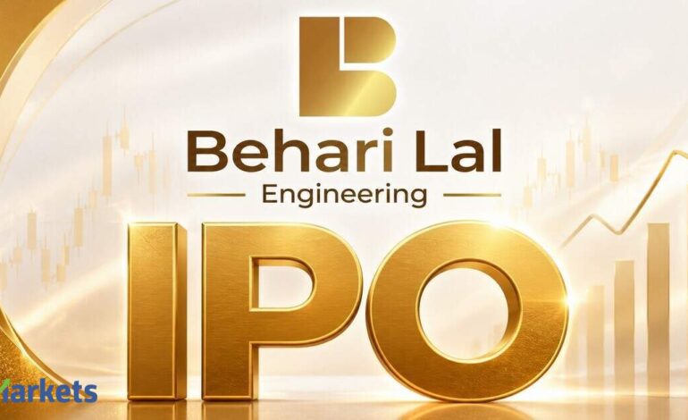 Behari Lal Engineering raises Rs 90.5 cr from anchor investors ahead of IPO