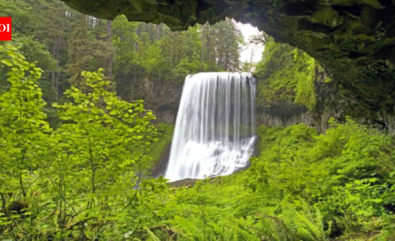 20-year-old tourist dies in US after falling from 170-feet waterfall while posing for photos