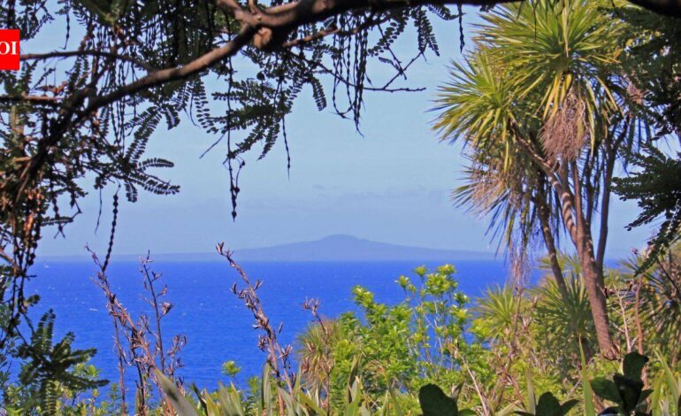 How 280,000 volunteer-planted trees transformed New Zealand’s Tiritiri Matangi from a degraded island into a conservation sanctuary