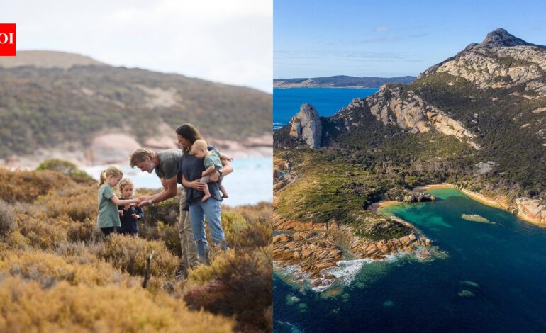 Australian family bought a remote island to run a sheep farm, now they are turning it into a $4.8 million conservation sanctuary for endangered wildlife