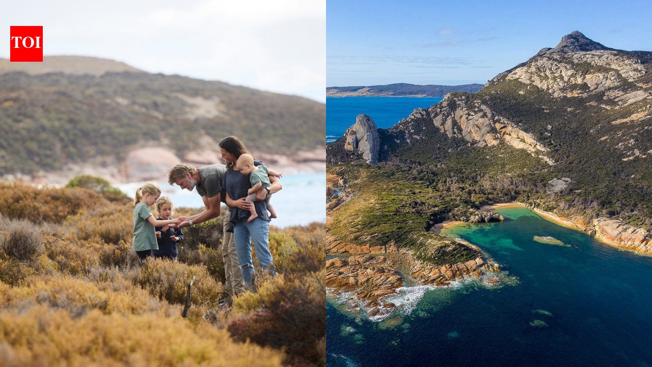 Australian family bought a remote island to run a sheep farm, now they are turning it into a $4.8 million conservation sanctuary for endangered wildlife