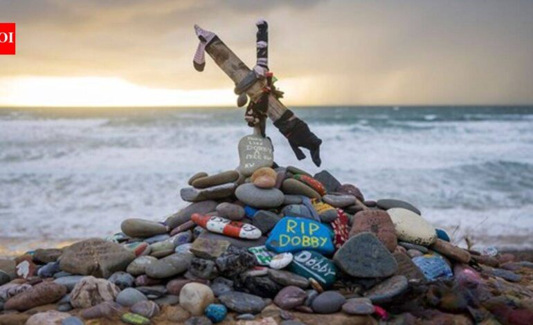 Harry Potter fans forced a $570 million power cable between UK and Ireland to be relocated since it would desecrate the ‘grave’ of Dobby, the elf