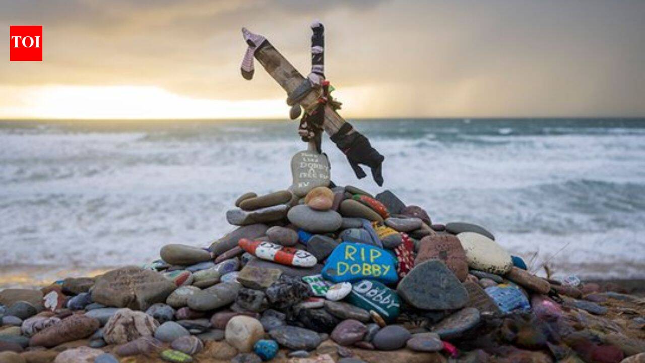 Harry Potter fans forced a $570 million power cable between UK and Ireland to be relocated since it would desecrate the ‘grave’ of Dobby, the elf