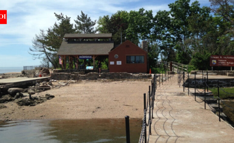 In 1964, Elizabeth Hird and her husband bought Connecticut’s Outer Island; in 1995 she donated it in his memory so it could remain protected for wildlife, research and education