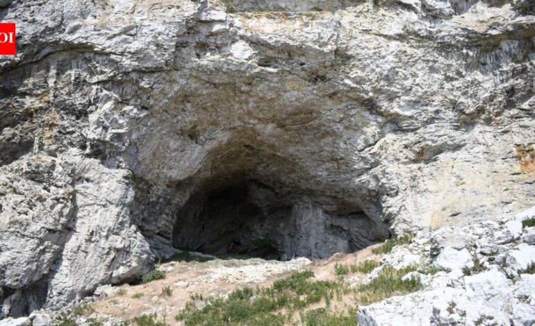 Archaeologists found a young woman, believed to be 14 to 19, buried with a 32-to 34-week fetus in a Swedish cave; the remains may be up to 9,500 years old