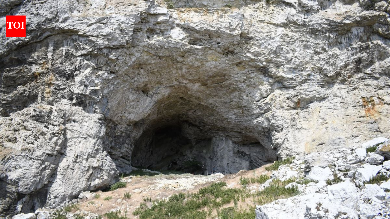 Archaeologists found a young woman, believed to be 14 to 19, buried with a 32-to 34-week fetus in a Swedish cave; the remains may be up to 9,500 years old