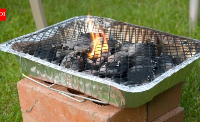 UK govt temporarily bans sale of disposable barbecues amid rising wildfire risk