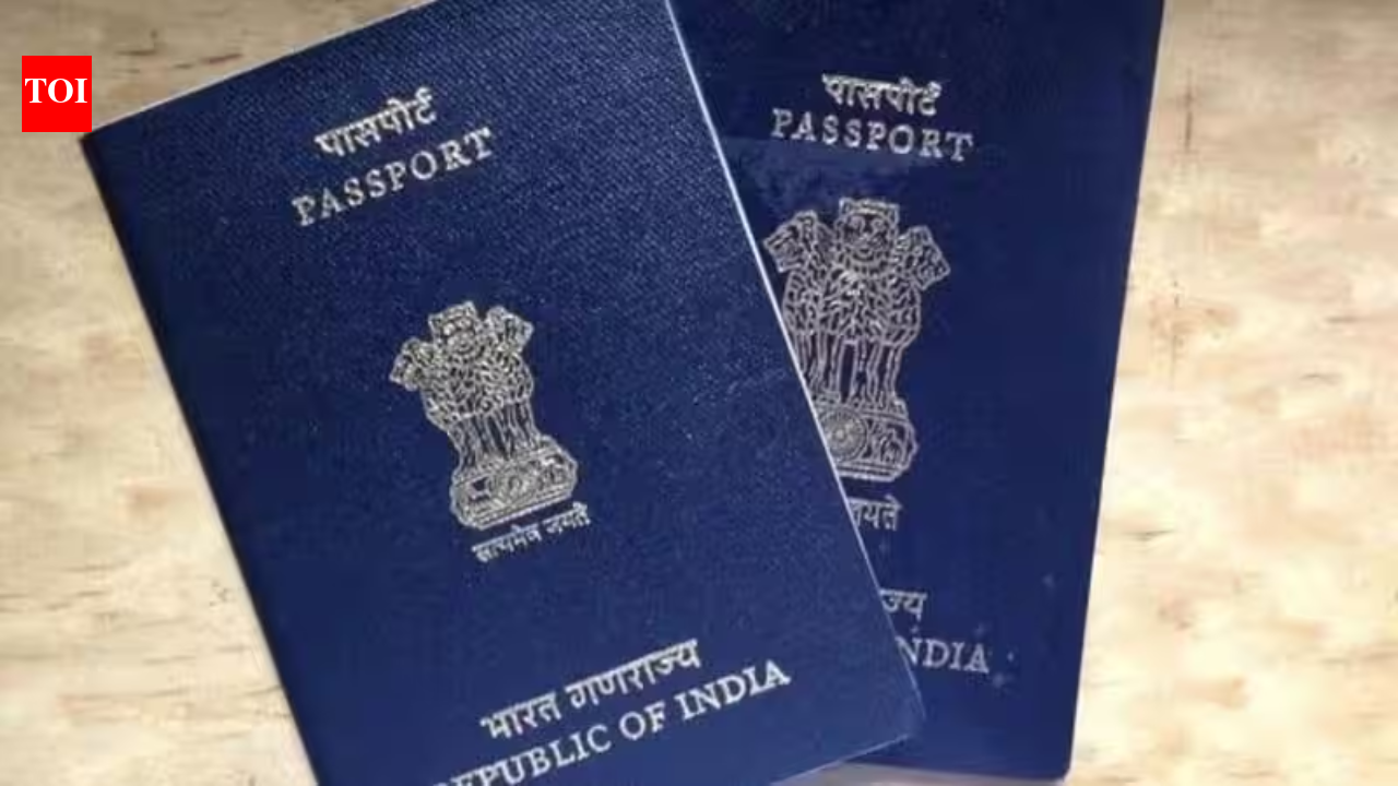 Indian couple in Ireland to return to Pune after 11 years, citing AI pressure and job stress