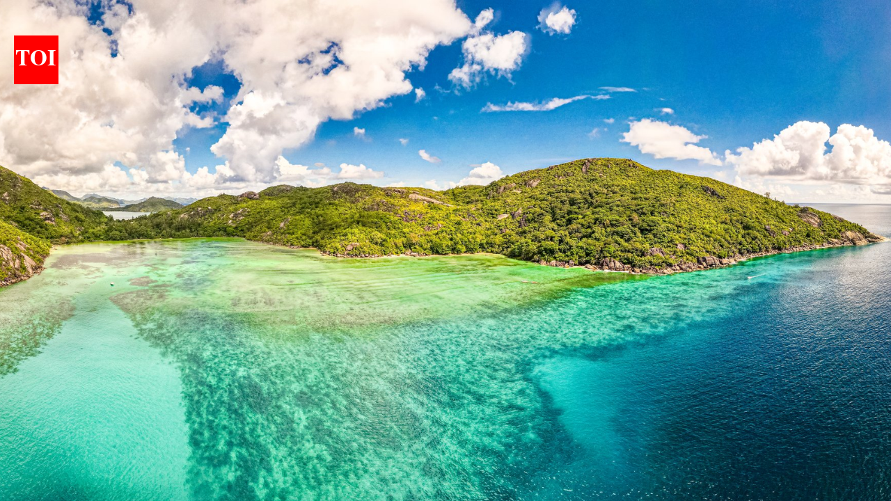 In 1987, a British naturalist became the first professional warden of a remote Seychelles island; a year later 29 endangered warblers were moved there and established a new population