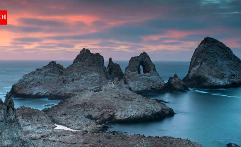 19th-century ships accidentally brought mice to islands 30 miles off San Francisco; they later reached densities of 1,270 per hectare and began reshaping the seabird ecosystem