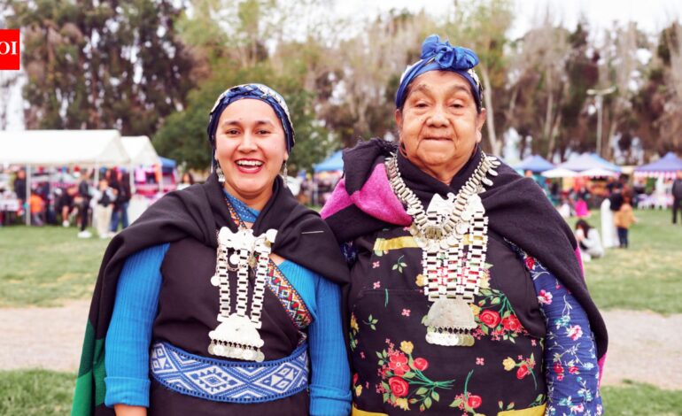 In 1993, Chile adopted an Indigenous Law that enabled land restitution; by 2023 more than 510,000 acres had been returned to Mapuche communities, but native forest cover had barely changed