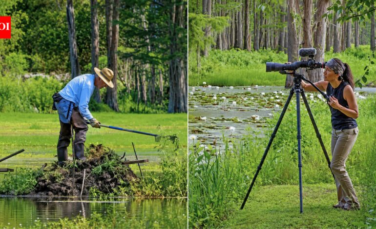A Florida couple bought a 45-acre swamp to protect it from development; 15 years later, 275 wood storks were nesting there in a thriving ecosystem filled with wildlife