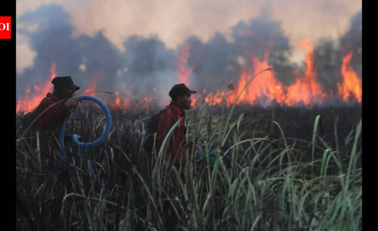 Wildfires came within metres of rescued orangutans in Indonesia; staff fought the blaze into the night and moved 60 animals to safer enclosures