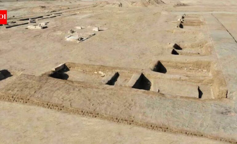 A 3,000-year-old inscription naming Masn may help archaeologists identify the lost Egyptian city | World News