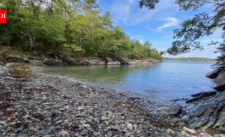In 1964, a 27-year-old woman bought an abandoned 18 acre island off Maine and built a small house to live there alone; 22 years later the island was donated to become a wildlife sanctuary