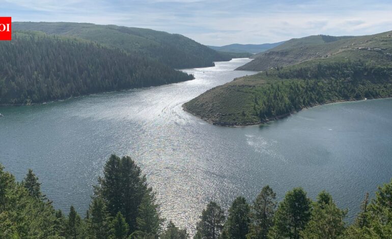 In 1990, Utah used the world’s largest rotenone treatment on Strawberry Reservoir; over 99% of fish biomass vanished and the rebuilt fishery later produced 715,000 catches a year