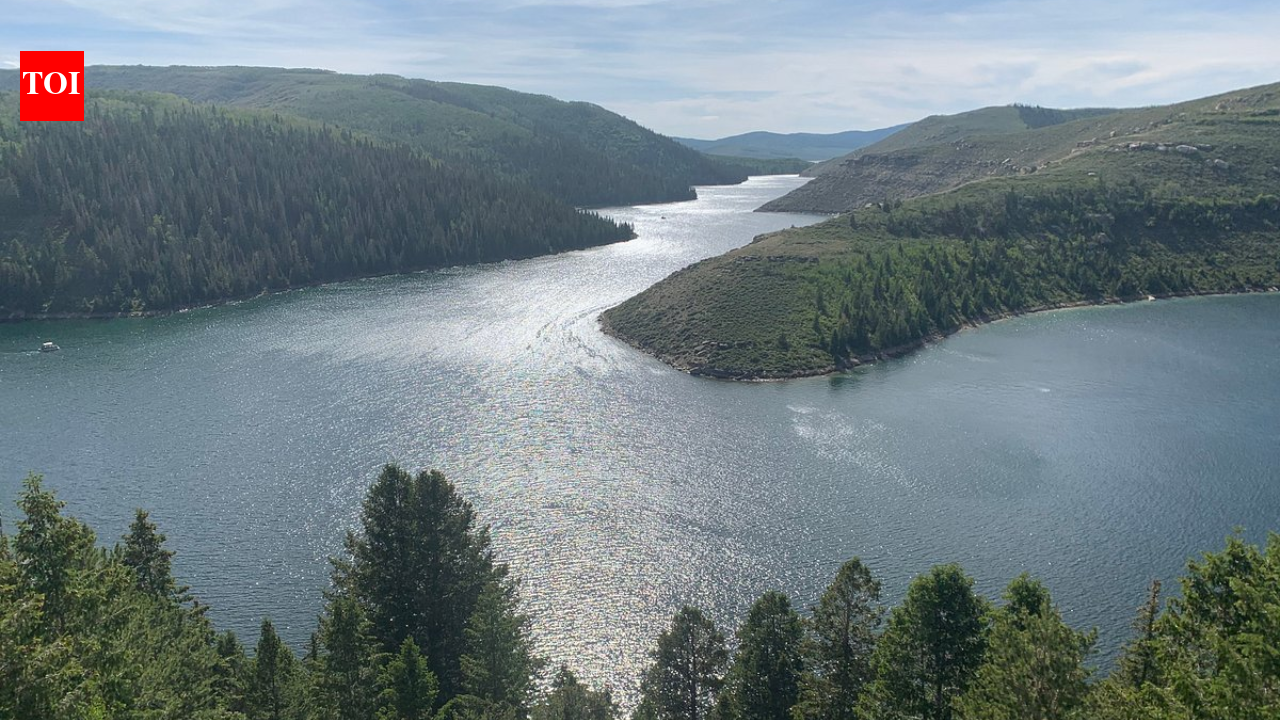 In 1990, Utah used the world’s largest rotenone treatment on Strawberry Reservoir; over 99% of fish biomass vanished and the rebuilt fishery later produced 715,000 catches a year