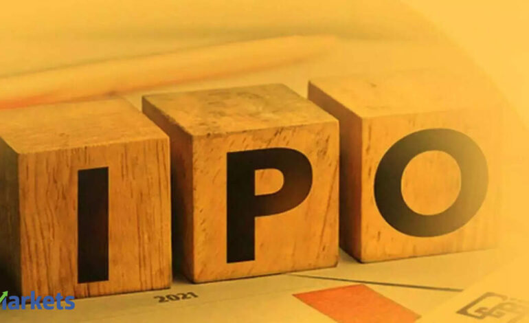 Skyways Air Services IPO gets marquee backing, Citi, Nomura join Rs 174 crore anchor book