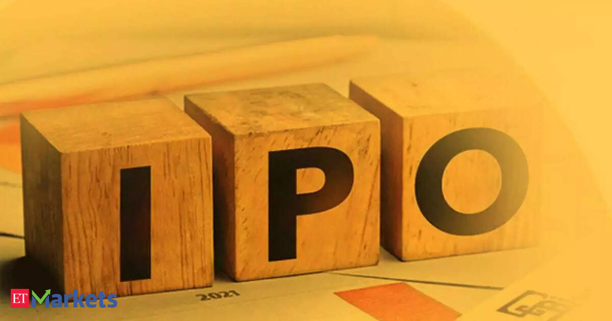 Skyways Air Services IPO gets marquee backing, Citi, Nomura join Rs 174 crore anchor book