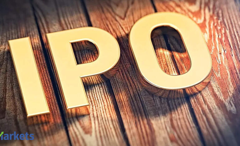 Lumino Industries raises Rs 207 crore from anchor investors; IPO opens on August 27