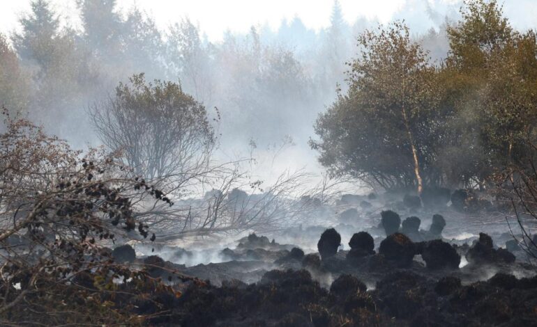 Firefighters push to ‘encircle’ Belgian wildfire