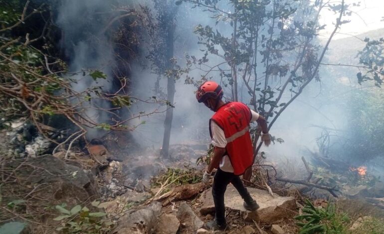 Ecuador intel chief, five Americans killed in Kenya helicopter crash