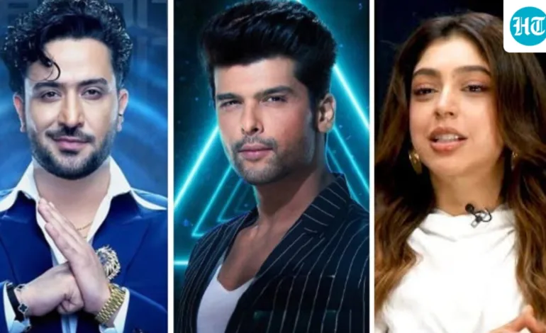 Exclusive | Niti Taylor: Kushal Tandon and Aly Goni were the masterminds