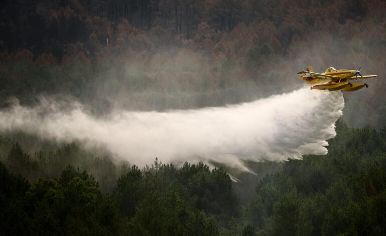 ‘Water bombers’ take to skies as Greece battles wildfires