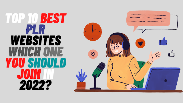 Top 10 Best PLR(Private Label Rights) Websites