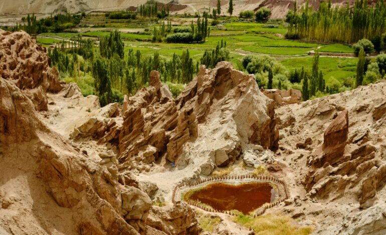 14 artworks I saw and loved at the sā Ladakh Biennale 2026