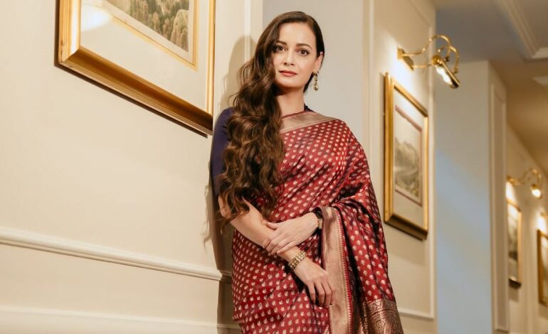 Dia Mirza wore an intricate brocade Banarasi sari that belongs to her mother