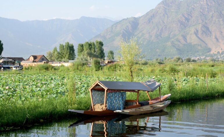 Kashmir taught me that it’s okay to be a cringey tourist