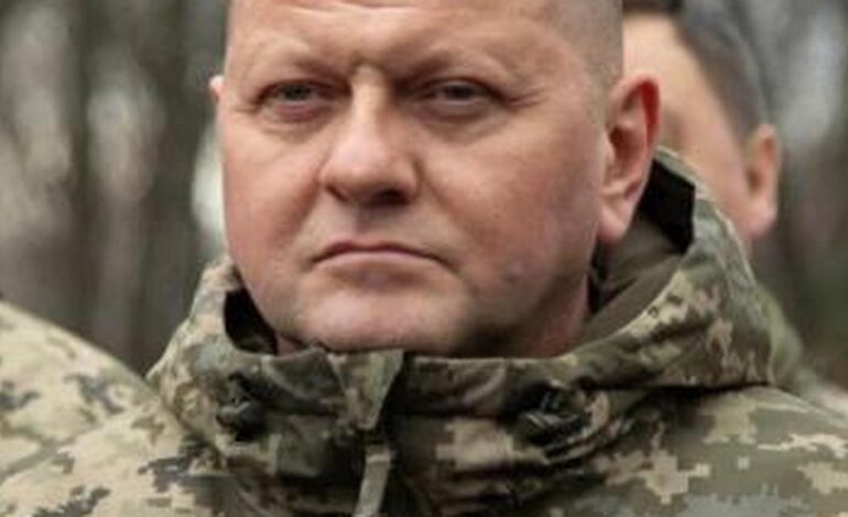 Former Ukrainian top commander sees no prospect of Kyiv joining NATO