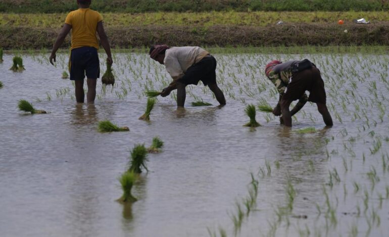 Kerala floods: State seeks ₹110-crore emergency relief from Centre to offset farm sector losses