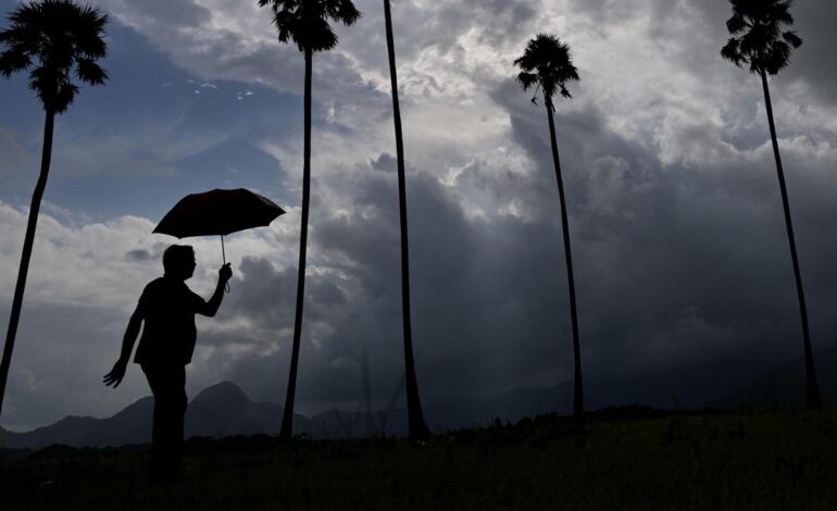 Kerala heavy rains LIVE: Revenue Minister calls meeting for rescue operations