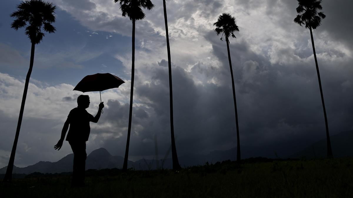 Kerala heavy rains LIVE: Revenue Minister calls meeting for rescue operations
