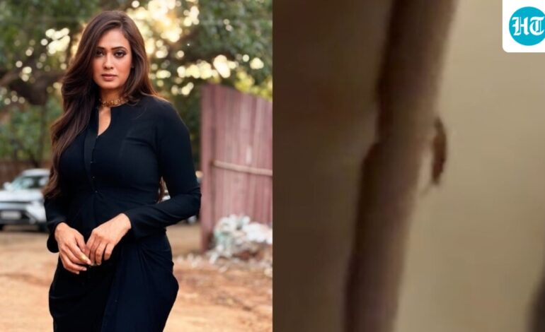 Shweta Tiwari tags FDA head Tukaram Mundhe after finding cockroach in her online order from Instamart: ‘Aap kahan hai?’