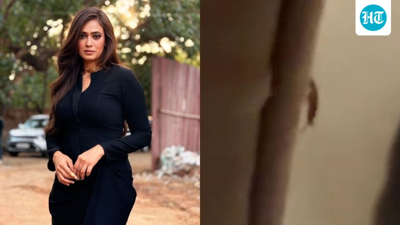 Shweta Tiwari tags FDA head Tukaram Mundhe after finding cockroach in her online order from Instamart: ‘Aap kahan hai?’