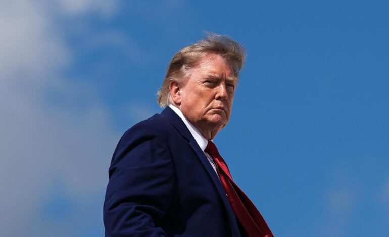 Trump announces tariffs of up to 100% on imported drones