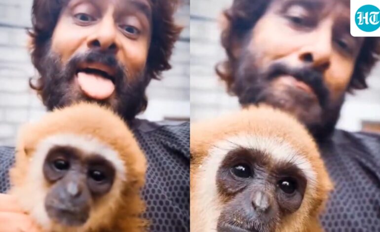 Chiyaan Vikram’s Lar Gibbon video sparks wildlife probe; actor deletes post amid questions over exotic pet
