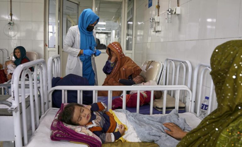 Afghanistan’s child deaths rising as food distributions face cuts, says UN
