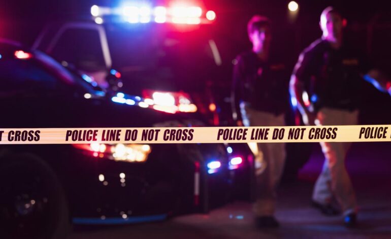 Indian teenager charged with murdering mother, younger brother in Massachusetts