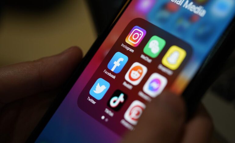 France’s constitutional authority strikes down social media ban for under-15