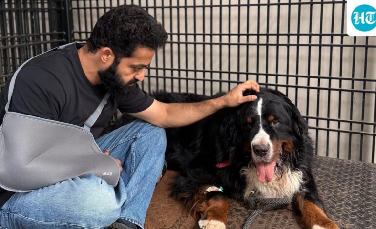 Jr NTR loses pet dog Bagheera, gets emotional on Instagram, ‘Your absence leaves a silence that feels far too large…’