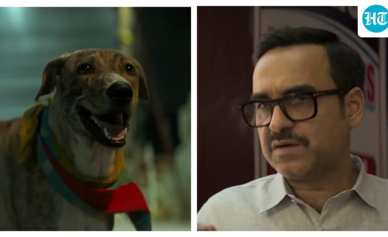 Ohh My Dog review: This Pankaj Tripathi starrer about fur babies is family friendly, yet too predictable to leave a mark